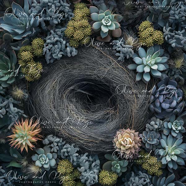 Blue/Grey Succulents Newborn Photography Digital Backdrop – Aerial View with Gorgeous Nest