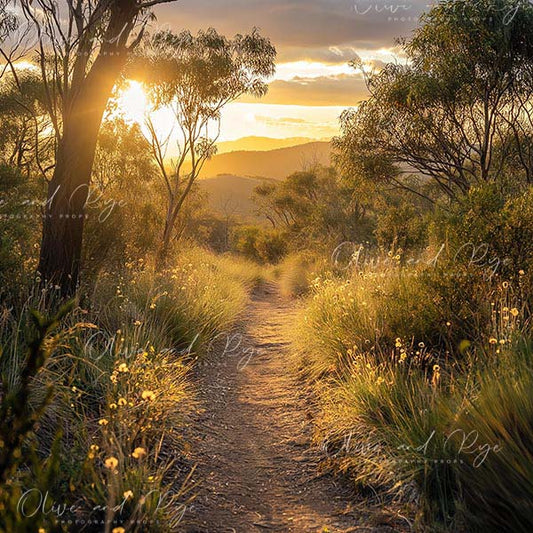 Australian Outback Sunset Digital Photography Backdrop – Capture the Magic of the Outback